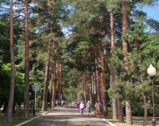 Экскурсия в Горячий ключ.